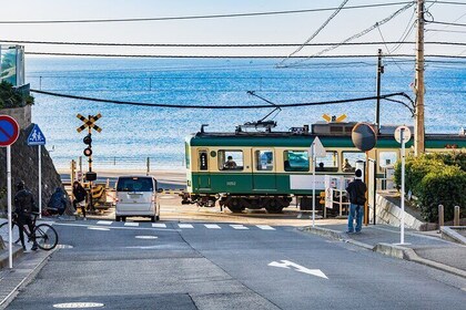 Kamakura Old Capital E-Bike Tour