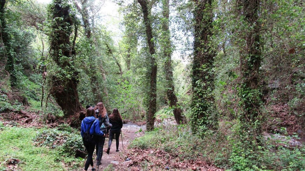 Picture 1 for Activity From Lasithi Area: Richtis Gorge Experience