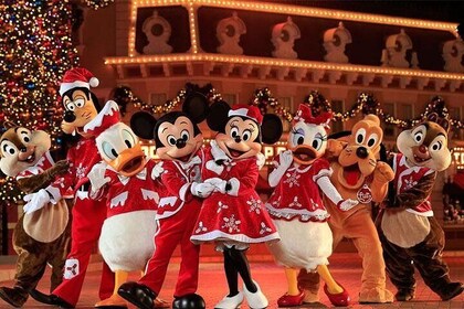 Hong Kong Disneyland Tour with Round-Trip Ferry Transfer from Macau