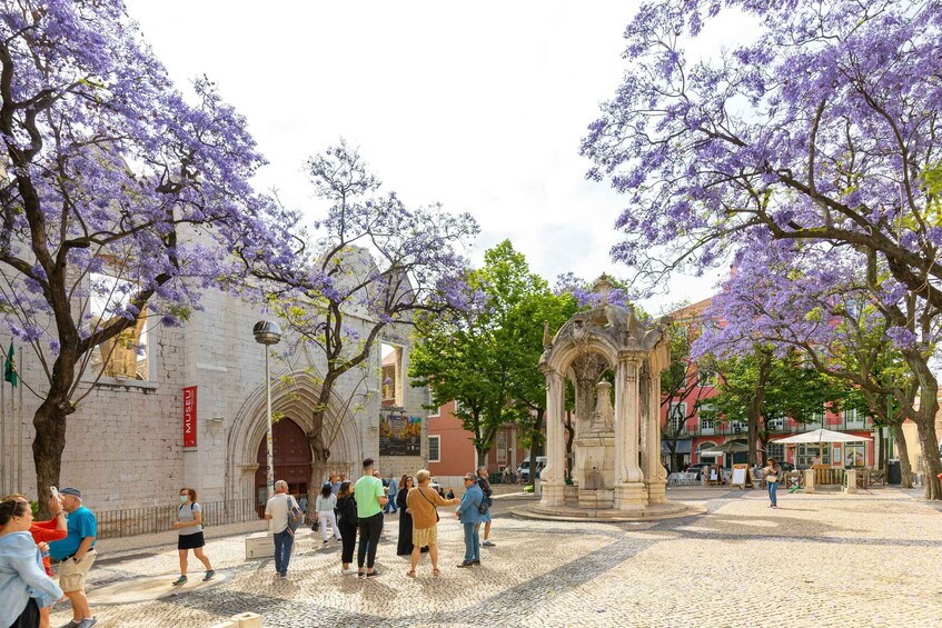 Picture 4 for Activity Lisbon: History, Stories and Lifestyle Walking Tour