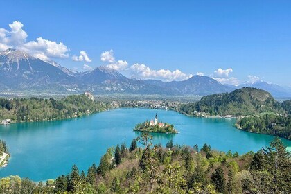 Lake Bled PRIVATE Half Day Tour from Ljubljana