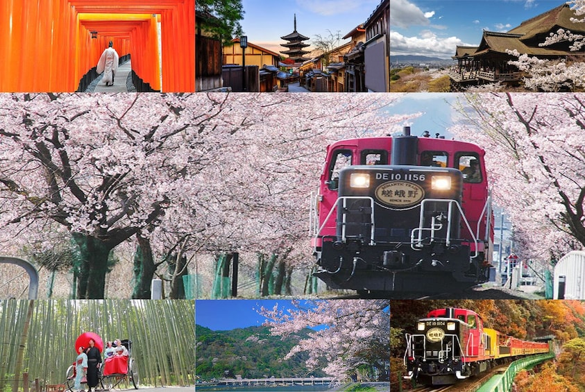 Sagano Romantic Train and Kyoto One Day Bus Tour from Osaka