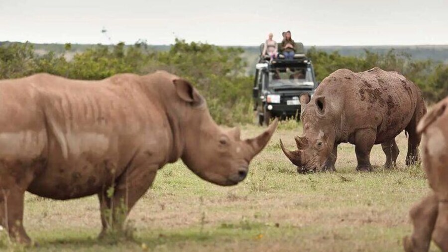 4WD Nairobi Kenya Private Safari Tour