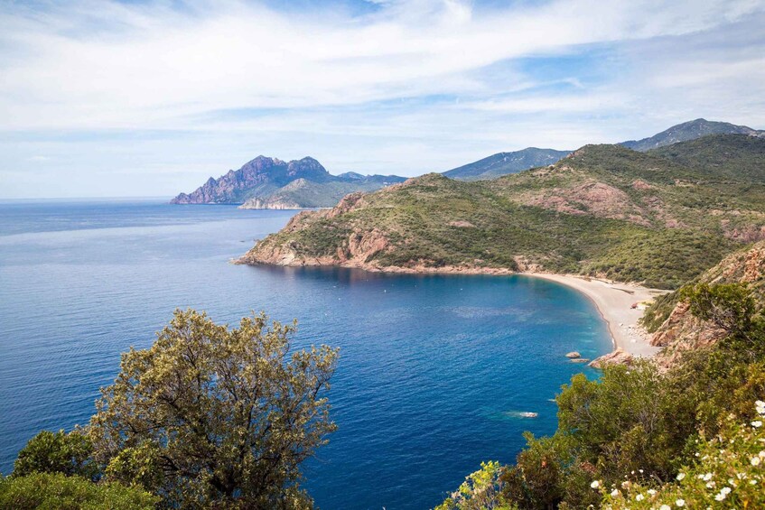 From Porto: Calanche de Piana Boat Tour