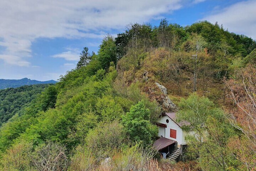 Full-Day Private Carpatian Garden with Dracula's Fortress - Wild Brown Bears