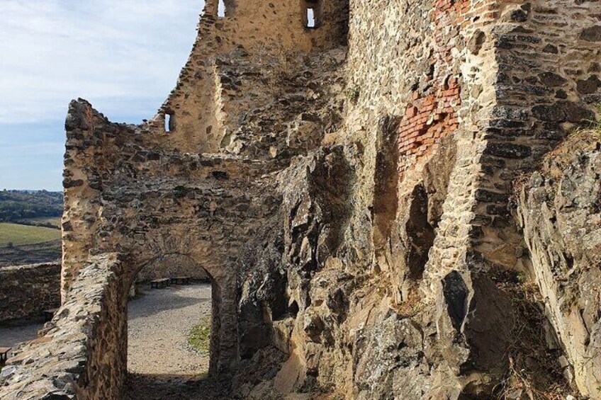 Full-Day Private Carpatian Garden with Dracula's Fortress - Wild Brown Bears