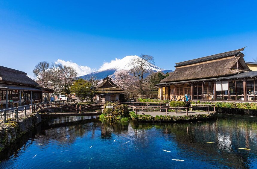 Mt. Fuji and Lake Kawaguchi Bus Tour from Tokyo