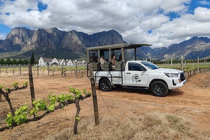 Stellenbosch Wine Safari Tour
