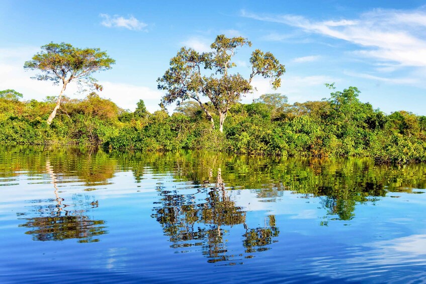 Picture 1 for Activity Manaus: Full-Day Tour on the Amazon River