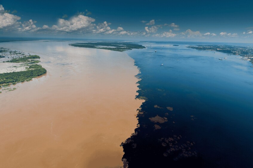 Picture 2 for Activity Manaus: Full-Day Tour on the Amazon River