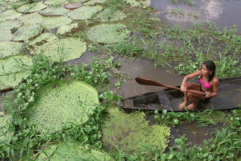 Picture 5 for Activity Manaus: Full-Day Tour on the Amazon River