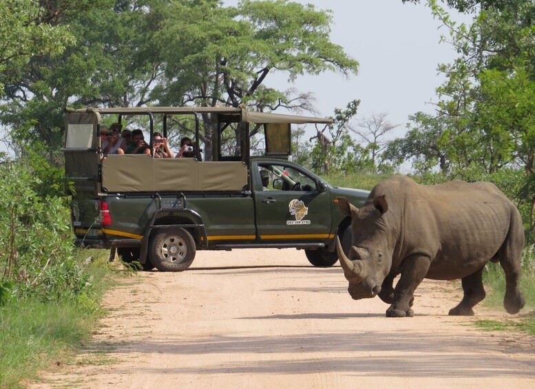 Picture 2 for Activity Kruger National Park: Full-Day Private Safari With Pickup