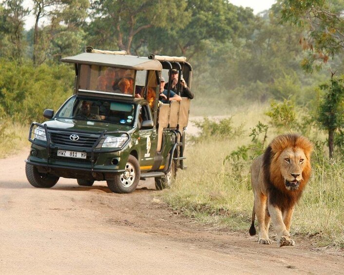 Kruger National Park: Full-Day Private Safari With Pickup