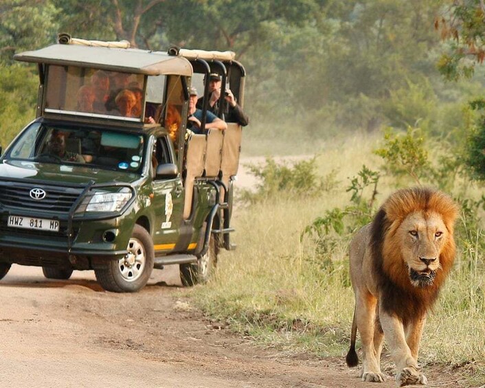 Kruger National Park: Full-Day Private Safari With Pickup