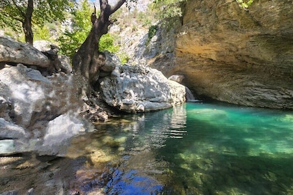 Family Adventure Manikia Waterfall River Trekking