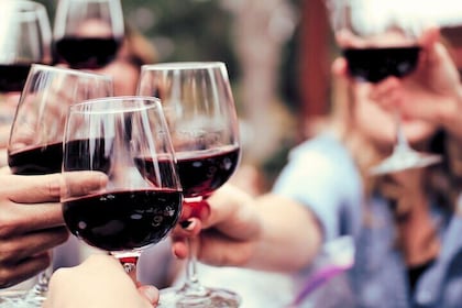 Barcelona Wine and Cheese Tasting Experience