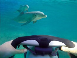 Underwater Adventure