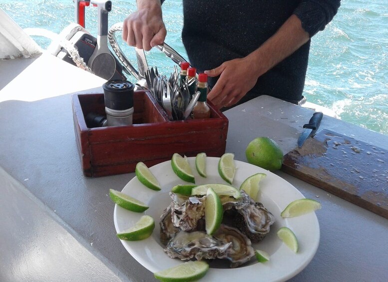 Picture 3 for Activity Knysna Lagoon Educational Oyster & White Wine Tasting Cruise