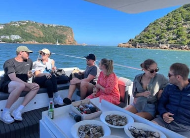 Knysna: Lagunen-Bootsfahrt und Austern-Tour mit Verkostung