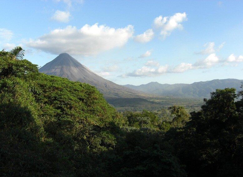 Picture 2 for Activity From La Fortuna: Guided Naturalist Walk on Hanging Bridges