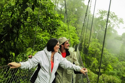 Desde La Fortuna: caminata naturalista guiada en puentes colgantes