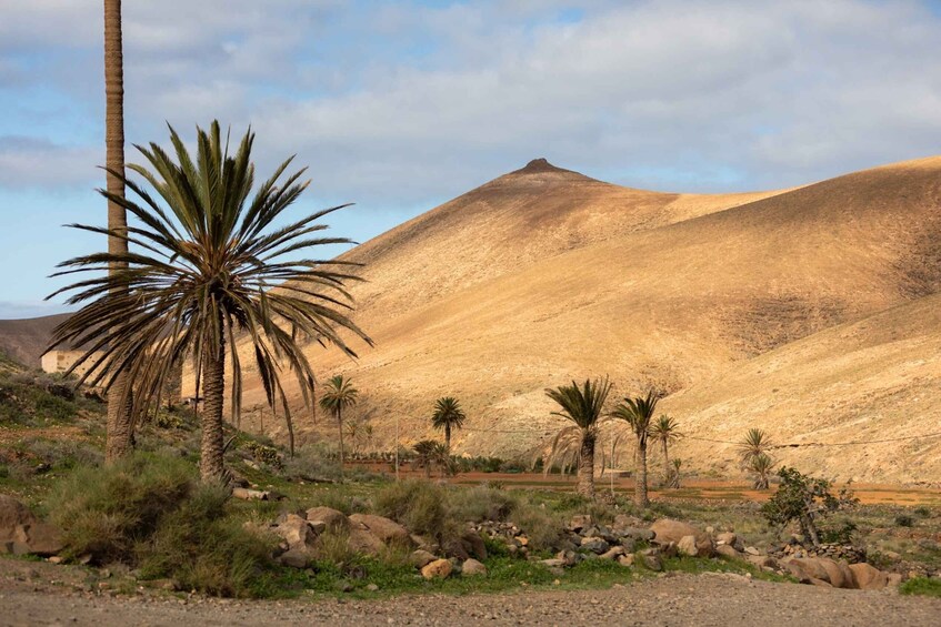 Picture 10 for Activity Fuerteventura: Wild Coast and Legends Hike