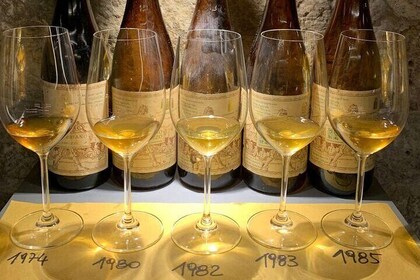 Wine Tasting with Local Bites in Pisa near the Tower