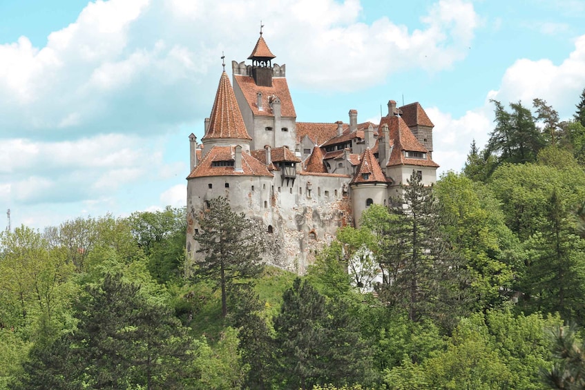 Picture 4 for Activity Bucharest: Dracula's Castle, Peles Castle, & Brasov Old Town