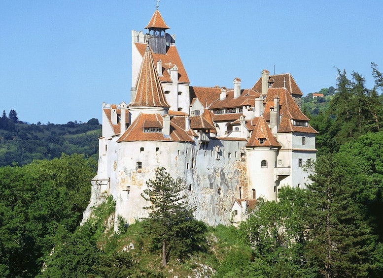 Picture 2 for Activity From Bucharest: Peles, Bran Castle & Old Town Brasov Tour