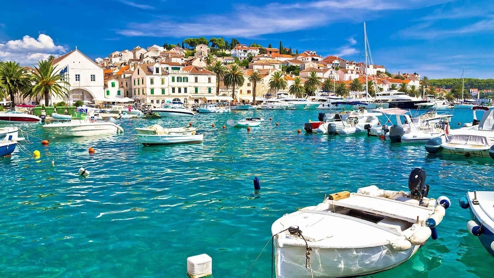 Picture 2 for Activity Luxury Private Tour to Brac, Hvar, and Pakleni Islands