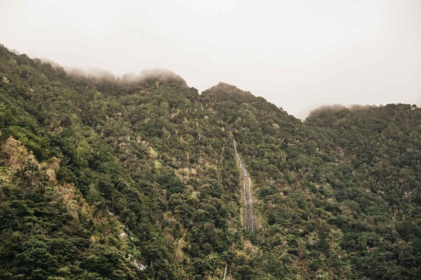 Picture 14 for Activity From Funchal: West Madeira and Laurel Forest Day Trip