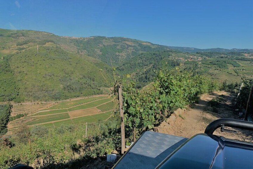 Winery Tour and Wine Tasting Quinta da Portela de Baixo in Lamego