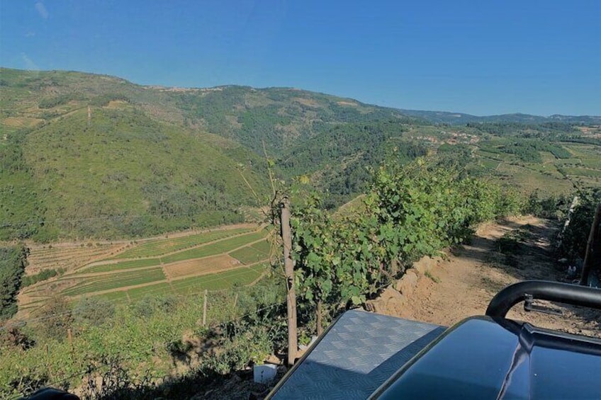 Winery Tour and Wine Tasting Quinta da Portela de Baixo in Lamego