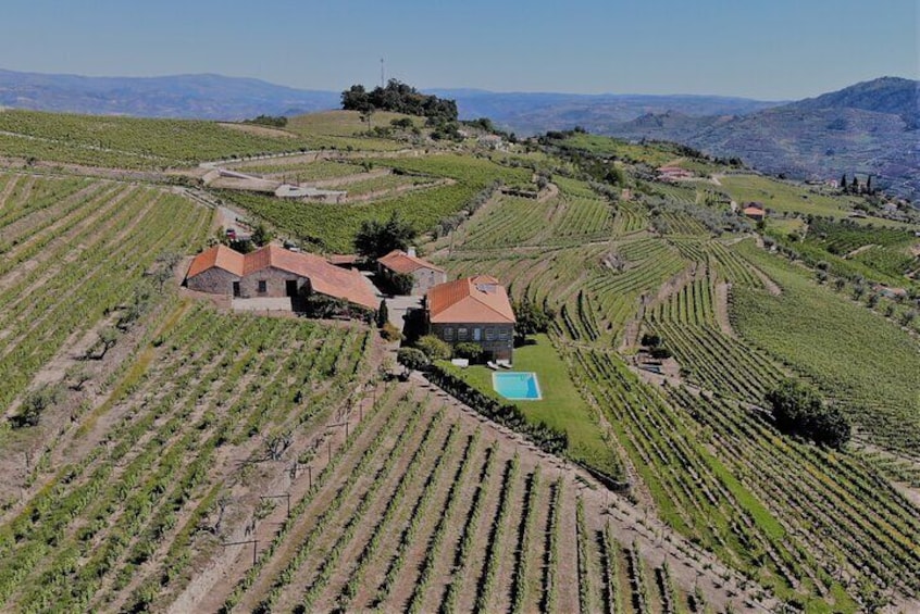 Winery Tour and Wine Tasting Quinta da Portela de Baixo in Lamego