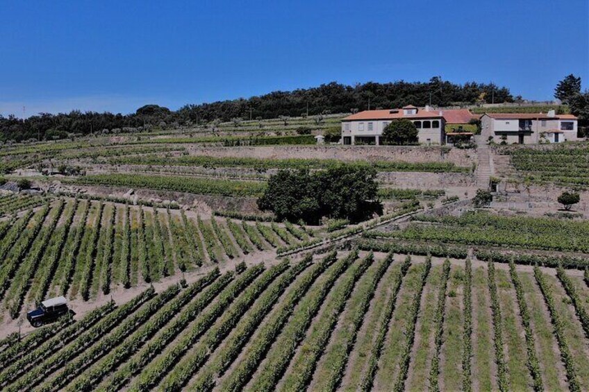 Winery Tour and Wine Tasting Quinta da Portela de Baixo in Lamego