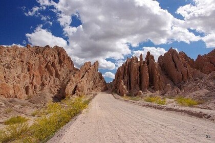 Tour of the Cafayate and Cachi Valleys in 1 Day