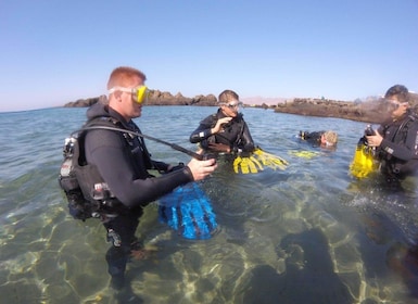 Lanzarote: Try Scuba Diving in Puerto del Carmen