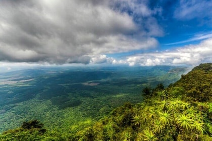 12 Day South Africa Tour from Johannesburg to Cape Town