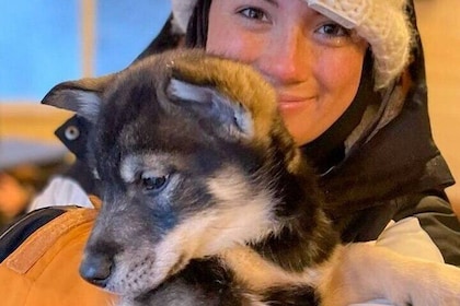 Dog Sledding and Animal Encounters Tour from Anchorage