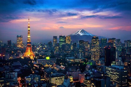Tokyo Private Tour w/ English Driver — Senso-ji & Skytree