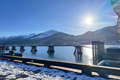Juneau Top Sight Seeing Group Tour