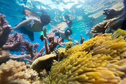 Private Land Tour Phuquoc South and North Island with Local Guide