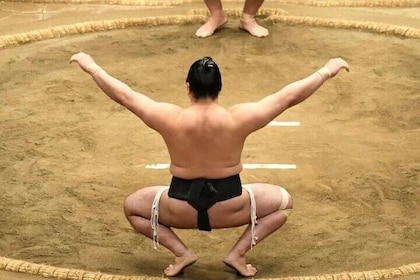 Shinjuku Sumo Show with Drinks and Photo
