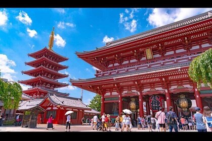 Tokyo full day tour with English speaking driver