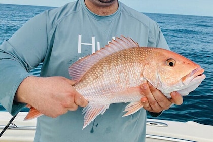 Fishing Charters in Clearwater Beach Florida