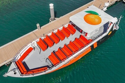 Dolphin Watching and Benagil Cave Tour from Lagos