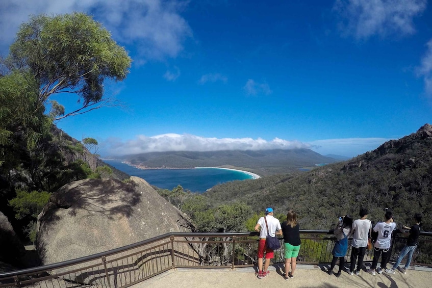 Picture 7 for Activity From Launceston: Full-Day Wineglass Bay Explorer Tour