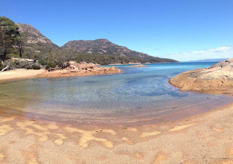 Picture 8 for Activity From Launceston: Full-Day Wineglass Bay Explorer Tour