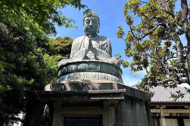 Tokyo: Traditional Backstreets Yanaka Walking Tour