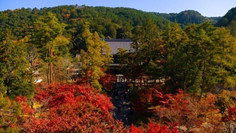 Peaceful Kyoto Walking Tour